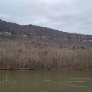 Meet your Posher, Theresa